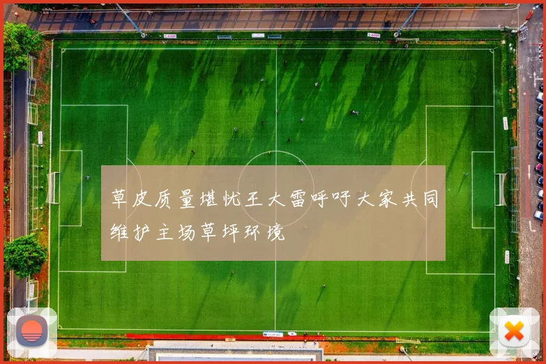 草皮质量堪忧王大雷呼吁大家共同维护主场草坪环境