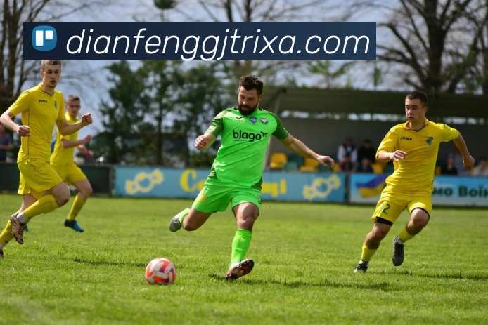 App Interface Preview