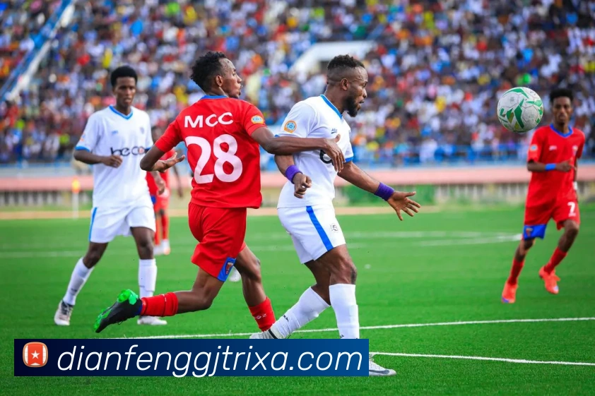 巅峰国际APP 封面图